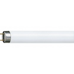 Tube fluorescent haut rendement 36W