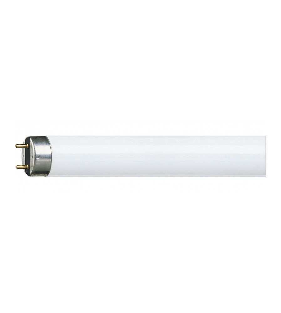 Tube fluorescent haut rendement 36W