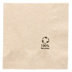 SERVIETTES ECOLABEL 2 PLIS 20x20 CM NATUREL