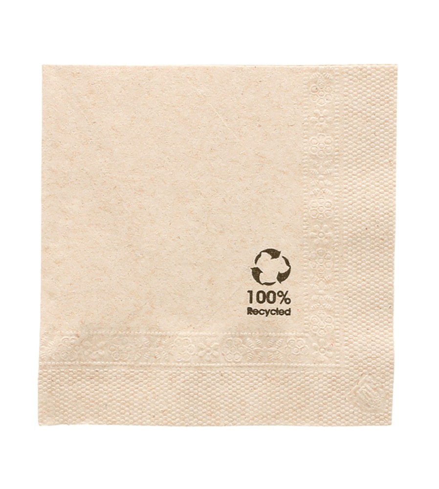 SERVIETTES ECOLABEL 2 PLIS 20x20 CM NATUREL