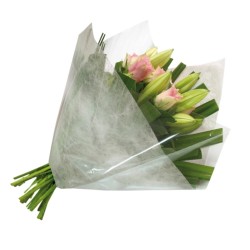 Film transparent neutre bouquets de fleurs